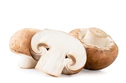 Champignons Braun, XXL-Schale