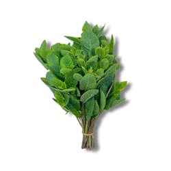 Zielke's BIO Pfefferminze, Bund