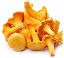 Chanterelles
