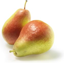 Pear Carmen, 1 pc.