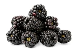 Brombeeren, Schale