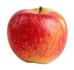 Apfel Cosmic Crisp, 1 Stk.