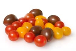 Watzkendorf´s BIO Cherrytomaten-Mix, Schale