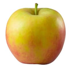 Brandenburger Apfel Elstar, 1 Stk.