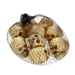 Skulls, 9 pieces
