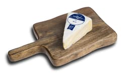 Vallée Verte Brie BIO-Weichkäse