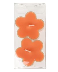 Steinhart Lichte "Blume", 2er organge