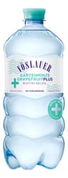 Vöslauer Gartenminze-Grapefruit Plus Biotin & Selen (EINWEG)