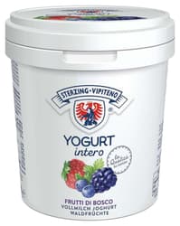 Sterzing Joghurt Waldfrucht