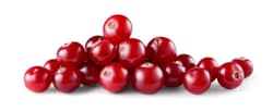 Cranberries, in the bowl