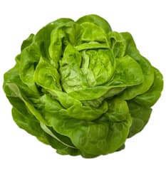 Kopfsalat, 1 Stk.