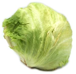 Eisbergsalat Klasse 2, 1 Stk.