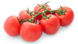 Reinheimer`s vine tomatoes