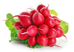 Demeter radishes