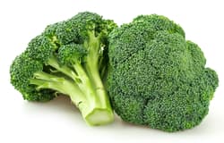 BIO Broccoli, 1 Stk.