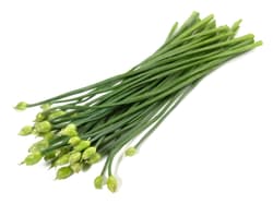 Schnittknoblauch