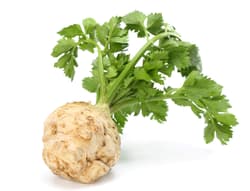 Reinheimer`s celeriac with greens