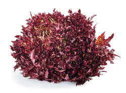 Reinheimer`s Crispy Red