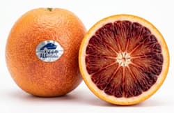 Orangen Tarocco