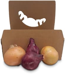 Reinheimer`s onion red-white mix