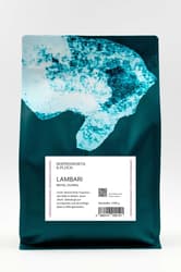 Hoppenworth & Ploch Brasil Lambari Espresso dunkel ganze Bohne