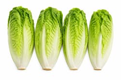 Romana salad hearts 6s