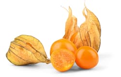 Physalis unpeeled, in the skin