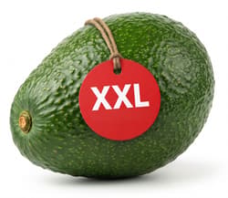XXL Avozzila, 1 Stk.