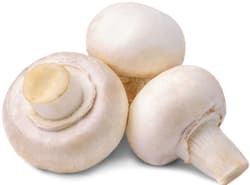 White mushrooms, in shell
