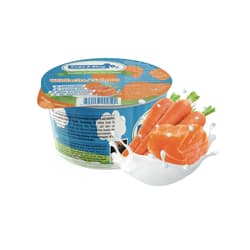Cold & Dog Frozen Joghurt – Hundeeis mit Wildlachs & Karotten