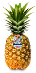 SanLucar Ananas, 1 Stk.