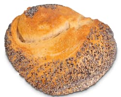Herzberger BIO Rosenbrötchen mit Mohn
