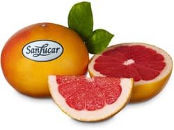 SanLucar Grapefruit, 1 Stk.