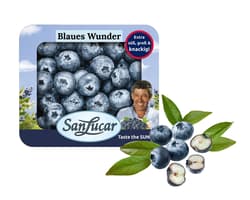 SanLucar XL Heidelbeeren, Pappschale
