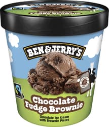 Ben&Jerry's Fudge Brownie