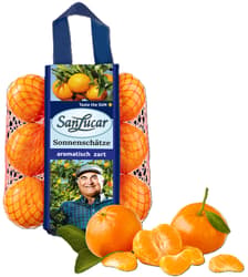 SanLucar tangerines in a net