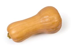 Butternut Kürbis 1kg +