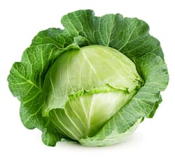 White cabbage, 1 pc.