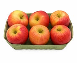 Apfel Jonagold