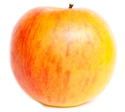 Eckhoffs apple Cox Orange