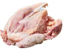 Traditionsgeflügel Hähnchenkarkassen