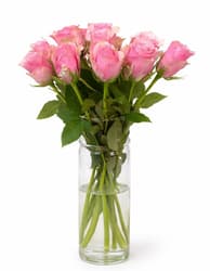 flowers. Pink roses