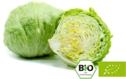 BIO Eisbergsalat, 1 Stk.
