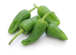 Pimientos de Padrón - roasted peppers, bag