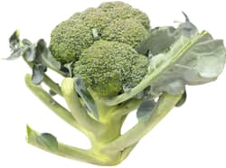 Reinheimer`s Brokkoli, 350-400g