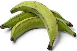 Plantain - Kochbanane, 1 Stk.