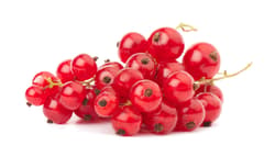 Johannisbeeren, Schale