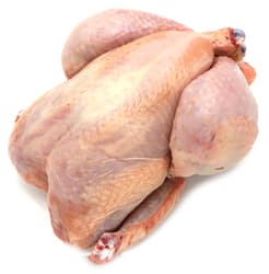 Freiländer BIO Hähnchen im Ganzen