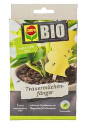 COMPO BIO Trauermückenfänger