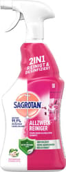 Sagrotan All-Purpose Cleaner Floral Freshness & Green Apple 750 ml